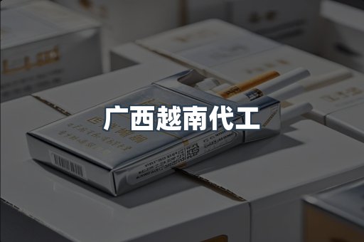 广西越南代工